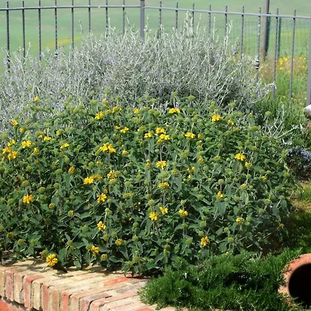 Ginevra-villa Indipendente-crete Senesi-tuscany ヴィラ シエーナ