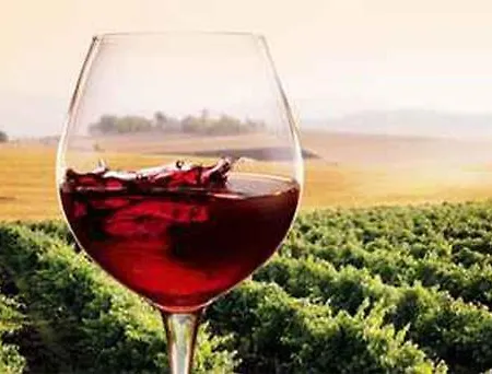 Ginevra-villa Indipendente-crete Senesi-tuscany * シエーナ