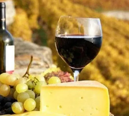 Ginevra-villa Indipendente-crete Senesi-tuscany 别墅 锡耶纳