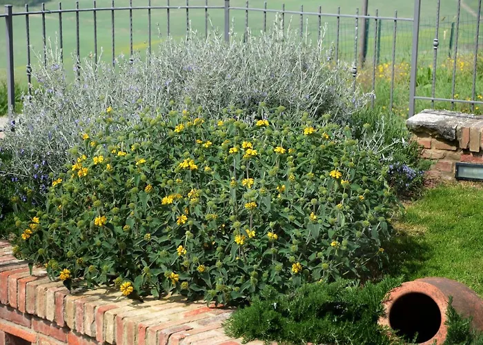 Ginevra-villa Indipendente-crete Senesi-tuscany 别墅 锡耶纳